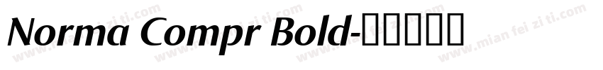 Norma Compr Bold字体转换